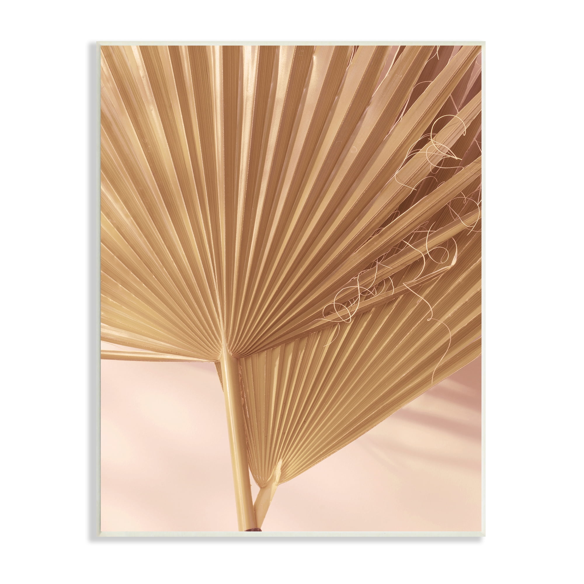 Two Palm Fronds Sun Bleached Tropical Plants 13 in x 19 in Framed Photography Art Print, by Stupell Home Décor