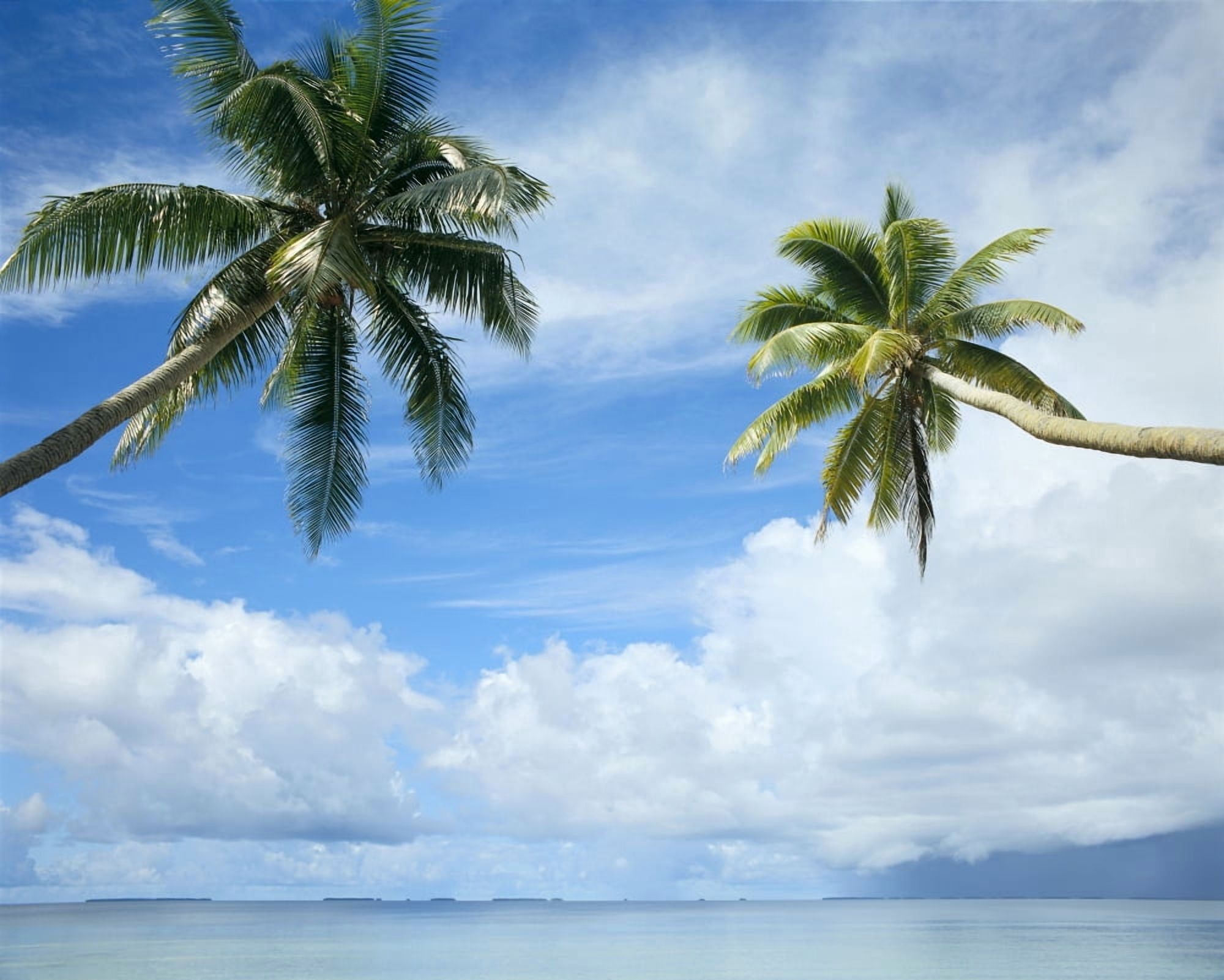 Two Palm Trees Clear Calm Turquoise Waters Large White Clouds Blue Sky C1689 Canvas Art - Mitchell Warner Design Pics (17 x 14)