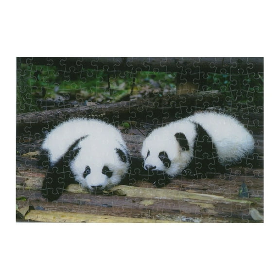 Two Pandas