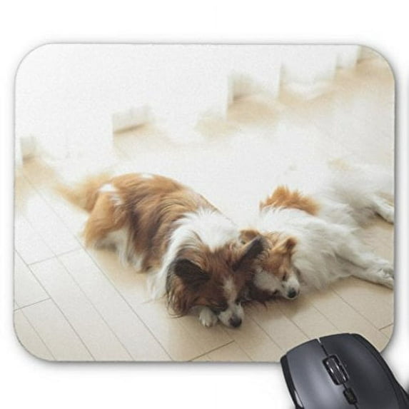 Two Papillion Sleeping Mouse pads Gaming Mouse Pad 9.84x7.87 inches