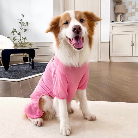Two-Part Pet Cooling Outfit - Insect-Repellent Vest for Dogs and Cats