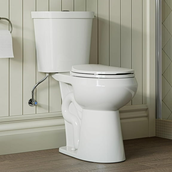 Two Piece 19 Inch Tall Toilet with Dual Flush & Round Bowl for Seniors, Pregnant, Disabled & Tall Person