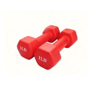 Two-Piece Dumbbell Set   All-in-One for Home Strength, Aerobics & Cardio Workouts