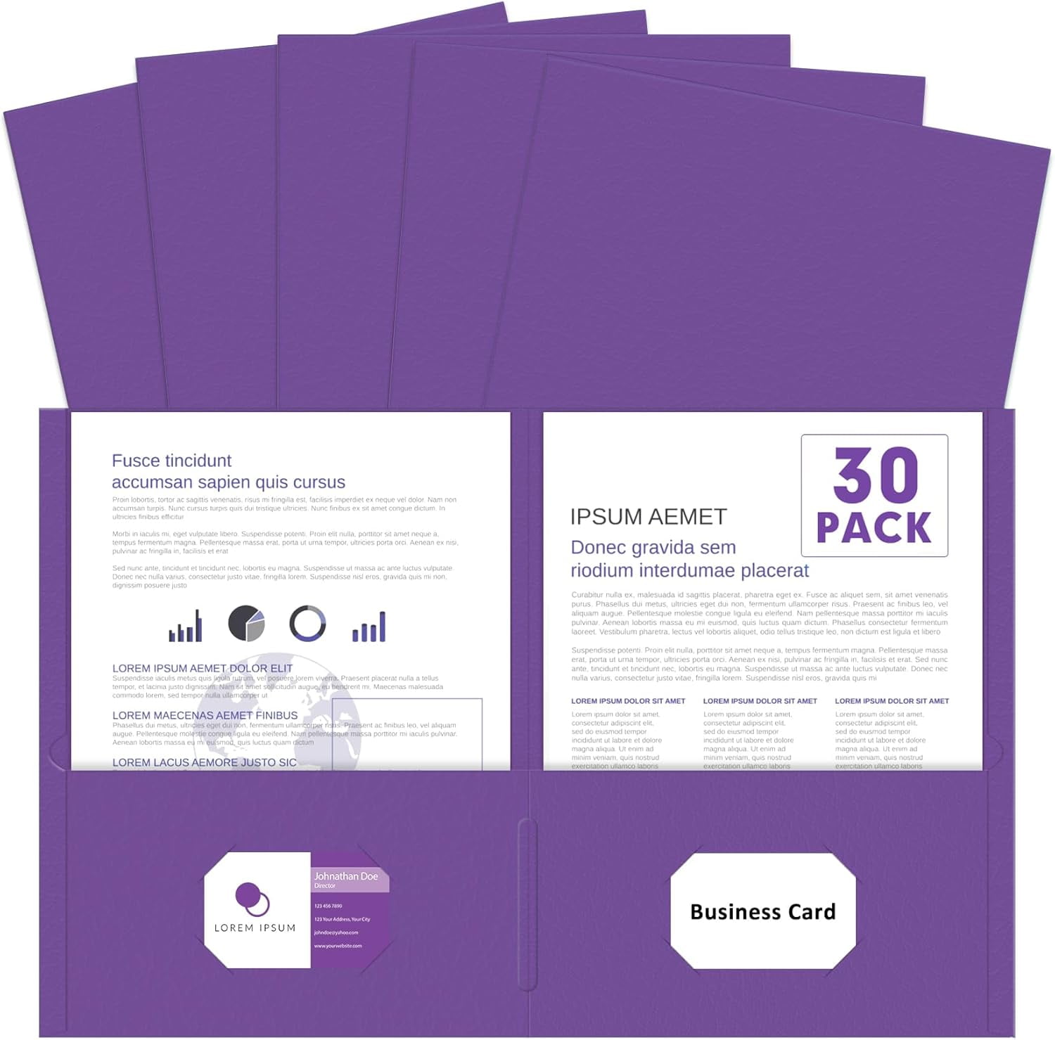 Two Pocket Folders, 30 Pack 2 Pocket Folders, Letter Size Paper File Folder for School Office Home Business, Purple