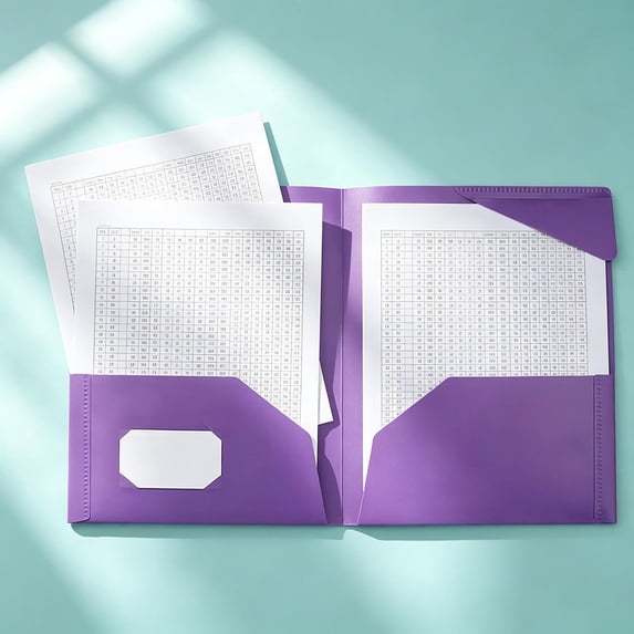 Two Pocket Folders Plastic Document Organizer Folder with Flap Double Pocket Presentation Folders Purple