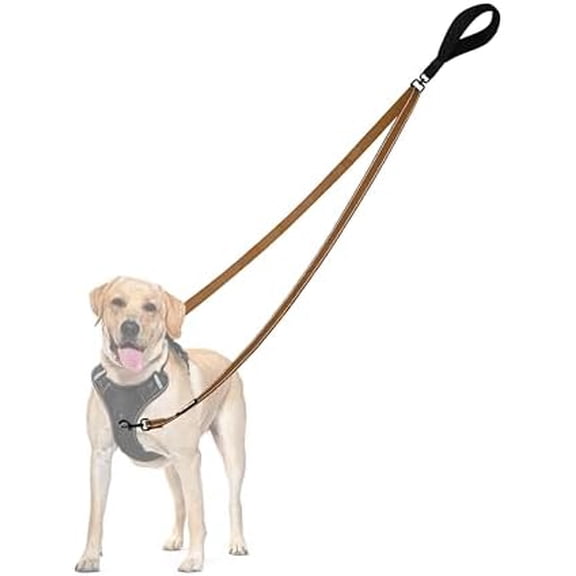 Two Point Control Dog Leash, Works with No Pull Harnesses, No Tangle Dog Training Leashes, No Pull Padded and Reflective Walking Lead, Converts to Single Leash for Medium Large Dogs (Brown)
