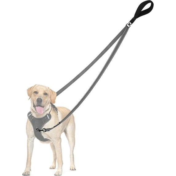 Two Point Control Leash, Works with No Pull Harnesses, No Tangle Leashes, No Pull Padded and Reflective Walking Lead, Converts to Single Leash for Medium Large Dogs (Grey)