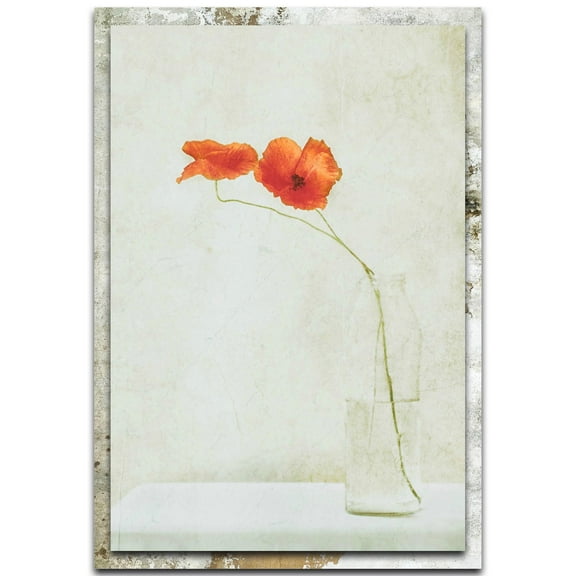 Two Poppies in a Bottle Distressed Frame