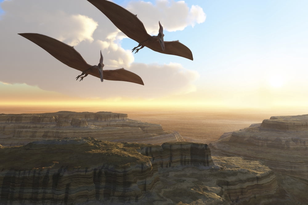 Two Pterodactyl flying dinosaurs soar above a beautiful canyon Canvas Art - Corey FordStocktrek Images (35 x 23)