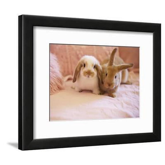 Two Rabbits on Pink Sofa, Animals Framed Art Print Wall Art by Jutta Klee Sold by Art.Com