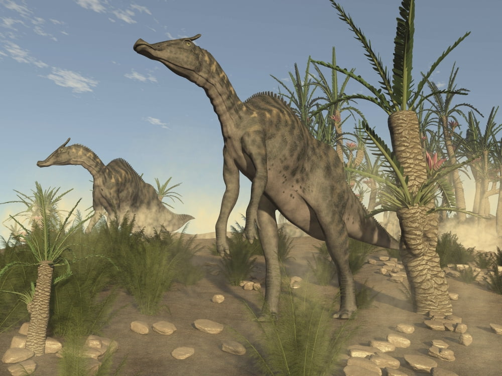 Two Saurolophus dinosaurs walking in a desert landscape Canvas Art - Elena DuvernayStocktrek Images (17 x 13)