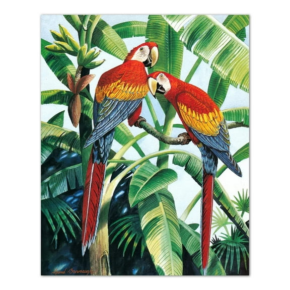 Two Scarlet Macaw Parrott Birds in Palm Tree Wall Picture 8x10 Art Print