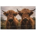 thumbnail image 1 of Two Scottish Highlands Cow 500 Piece Large Jigsaw Puzzle for Adults - Game Interesting Toys - Hand Made Puzzles Personalized Gift（554） Decor Gift, 1 of 7