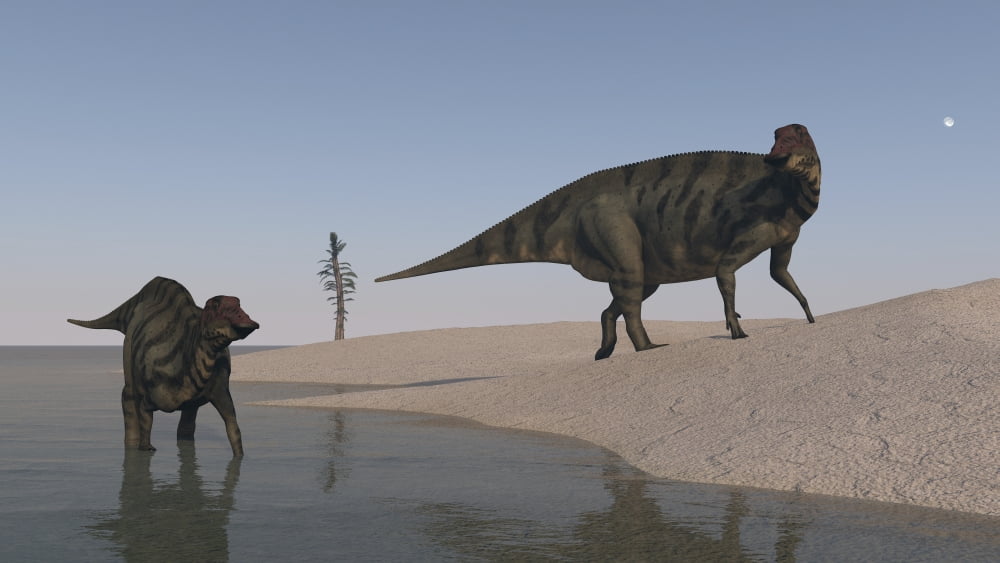 Two Shuangmiaosaurus dinosaurs on the shoreline Canvas Art - Kostyantyn IvanyshenStocktrek Images (38 x 22)
