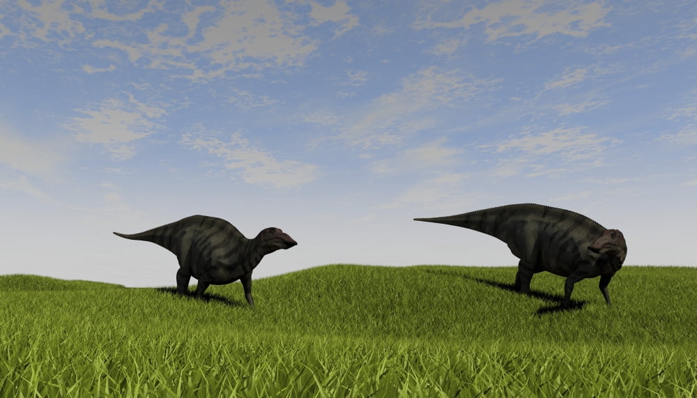 Two Shuangmiaosaurus walking across a grassy field Canvas Art - Kostyantyn IvanyshenStocktrek Images (38 x 22)