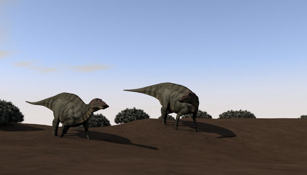 Two Shuangmiaosaurus walking across barren terrain Canvas Art - Kostyantyn IvanyshenStocktrek Images (19 x 11)