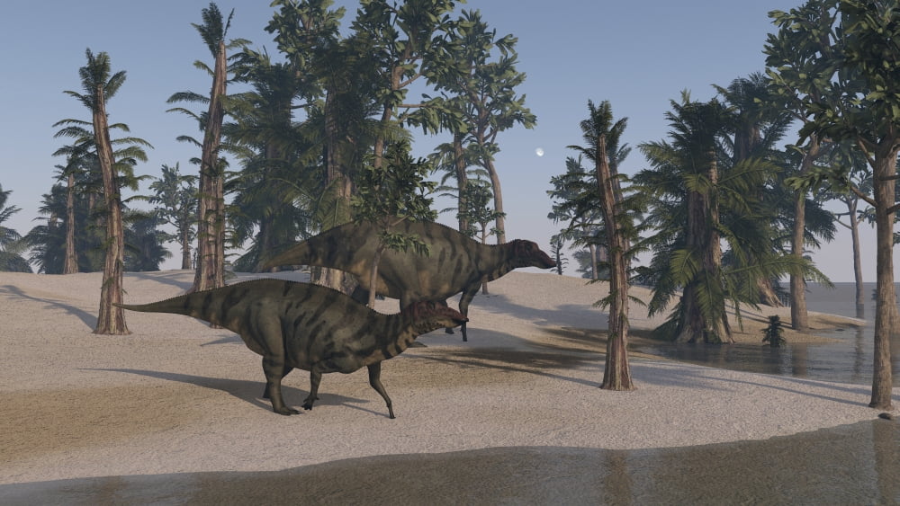 Two Shuangmiaosaurus walking along the shoreline Canvas Art - Kostyantyn IvanyshenStocktrek Images (19 x 11)