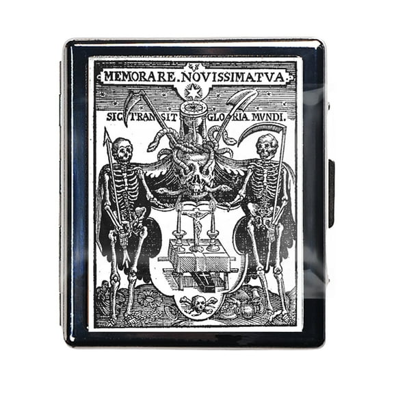 Two Skeletons 7 Days Chromed Shiny Silver Pill Organizer with Mirror Inside Has 8 Separate Compartments Rectangle Cute Travel Pill Organizer for Purse 7 Days Pill Box Pill Case