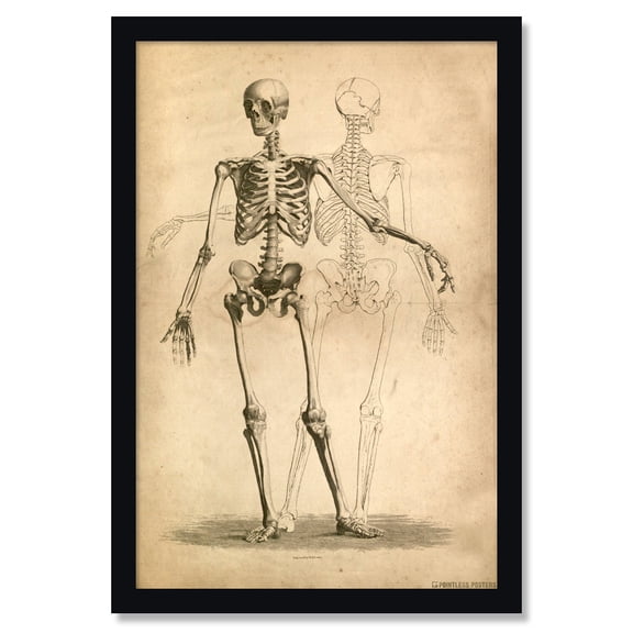 Two Skeletons Gothic Poster by Pointless Posters