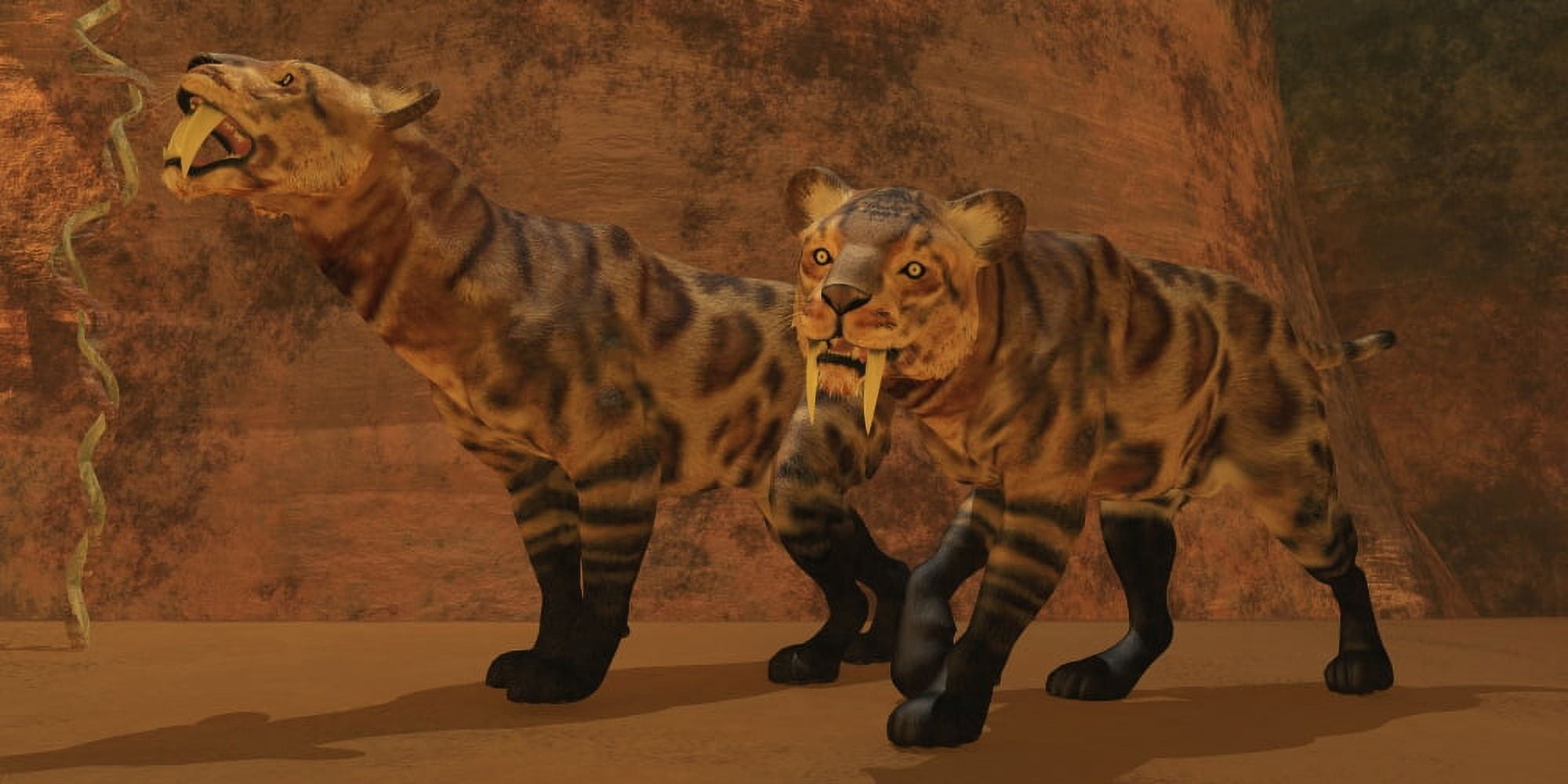 Two Smilodon cats find protection in a vast cave system Canvas Art - Corey FordStocktrek Images (20 x 10)