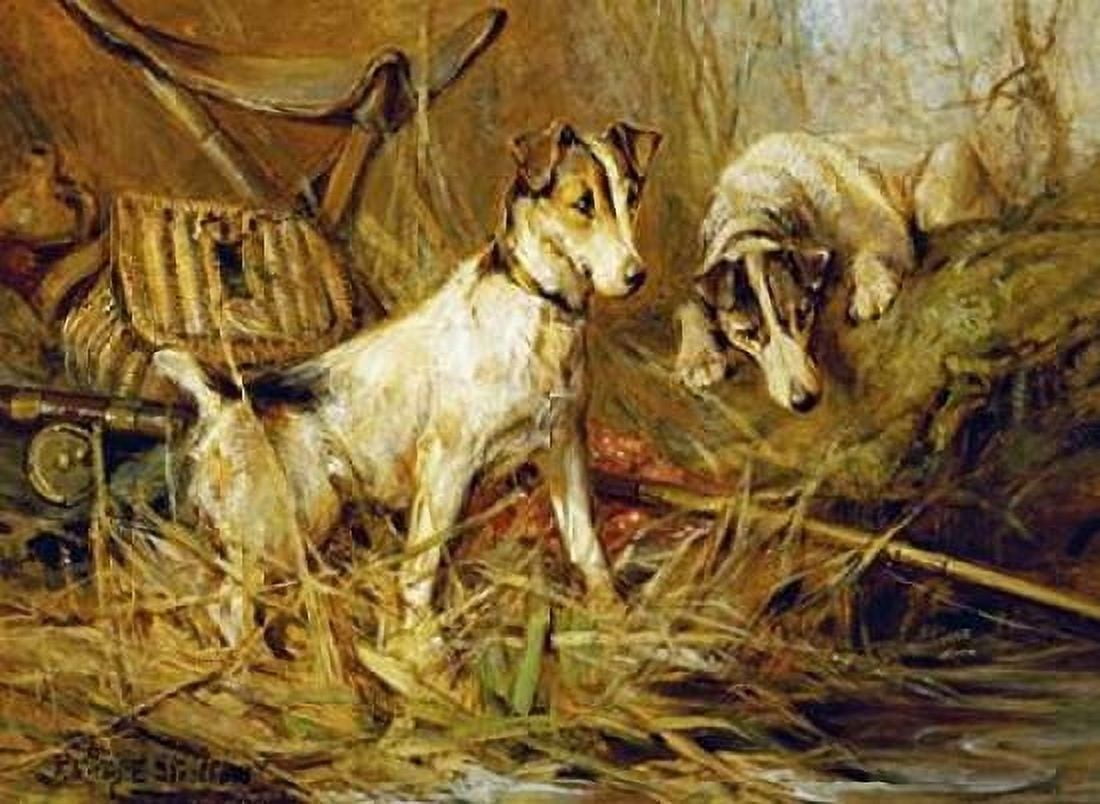 Two Smooth-Haired Fox Terriers Canvas Art - Philip Eustace Stretton (20 x 28)
