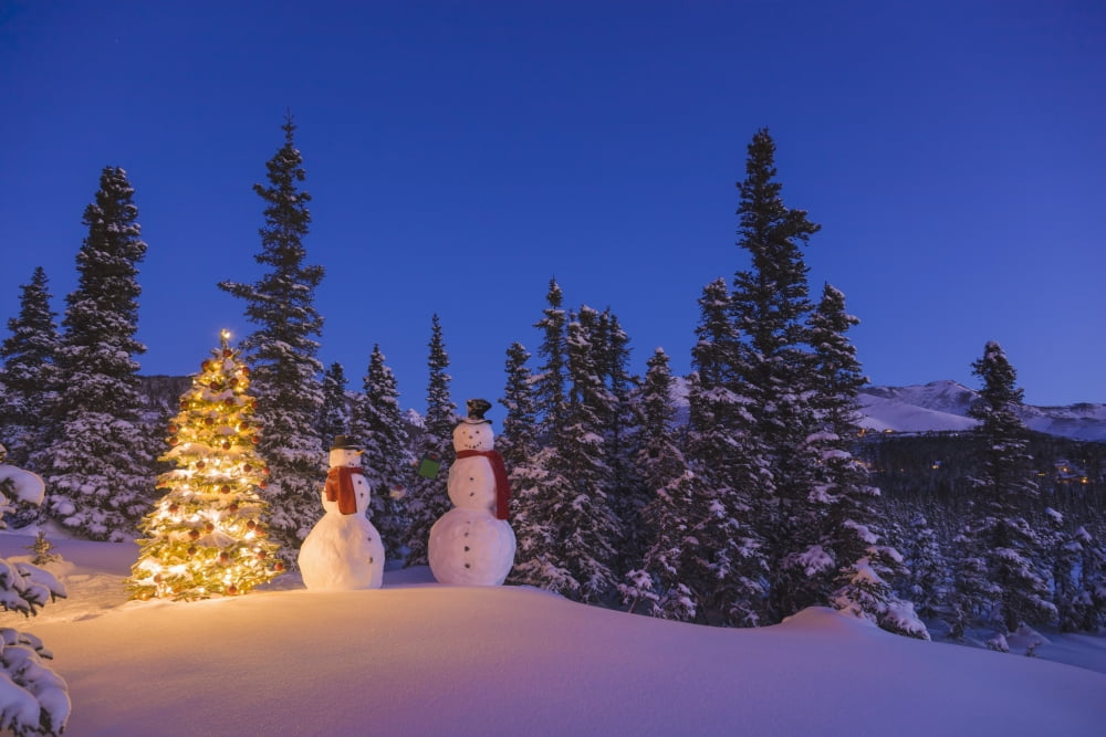 Two Snowmen Exchanging Gifts Standing Next To A Christmas Tree In Front Of A Snowcovered Spruce Forest At TwilightAnchorage Alaska Usa Canvas Art - Kevin Smith Design Pics (38 x 24)