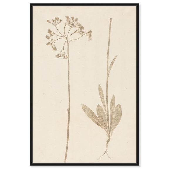 Two Stems Canvas Print Botanical Art by Art Remedy, Black Frame, 24 x 36
