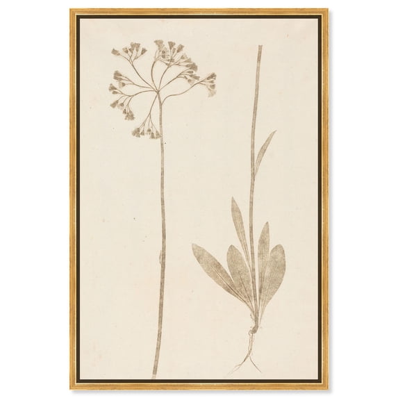 Two Stems Canvas Print Botanical Art by Art Remedy, Gold Frame, 20 x 30
