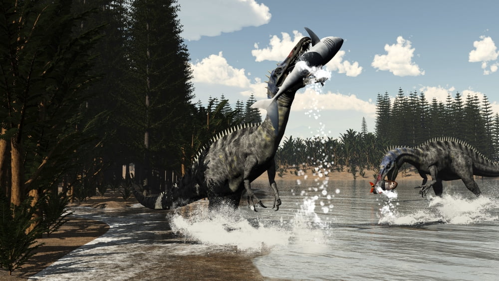 Two Suchomimus dinosaurs catch a fish and shark Canvas Art - Elena DuvernayStocktrek Images (19 x 11)