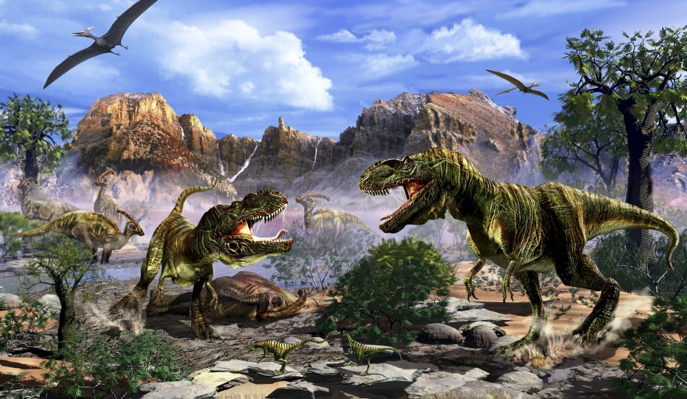 Two T-Rex dinosaurs fighting over a dead carcass Canvas Art - Kurt MillerStocktrek Images (19 x 11)