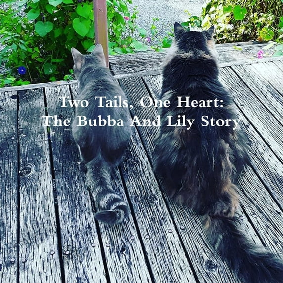 Two Tails, One Heart: The Bubba And Lily Story, (Paperback)