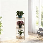 Two-Tier Side Table with Carbon Steel Frame and Polypropylene Trays - Raised Edge, Rounded Corners, Compact European Style for Living Room or Bedroom, Versatile Storage & Display