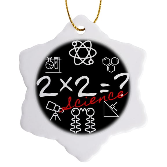 3drose, Two Times Two Question, Scientific Symbols, Red Text Science on Black, 3 inch Snowflake Porcelain Ornament
