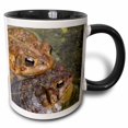 thumbnail image 1 of 3drose, Two Toads in Love, 15oz Two-tone Black Mug, 1 of 6