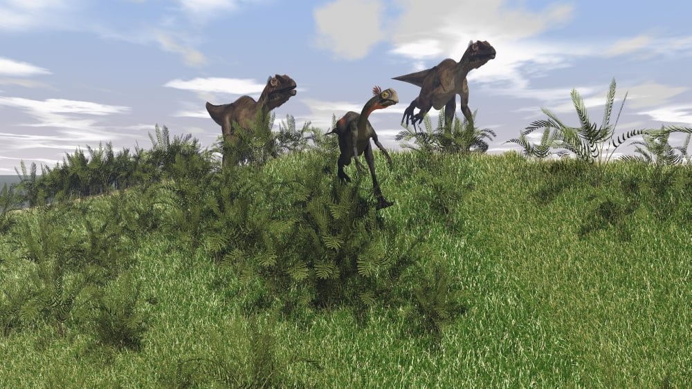 Two Utahraptors chasing a Gigantoraptor across a grassy field Canvas Art - Kostyantyn IvanyshenStocktrek Images (19 x 11)