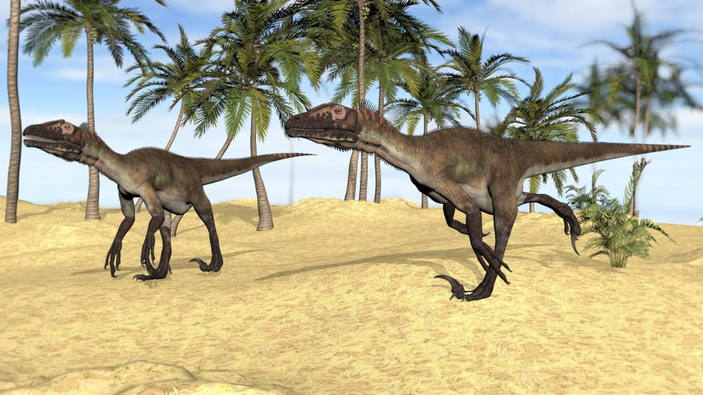 Two Utahraptors in a prehistoric environment Canvas Art - Kostyantyn IvanyshenStocktrek Images (19 x 11)