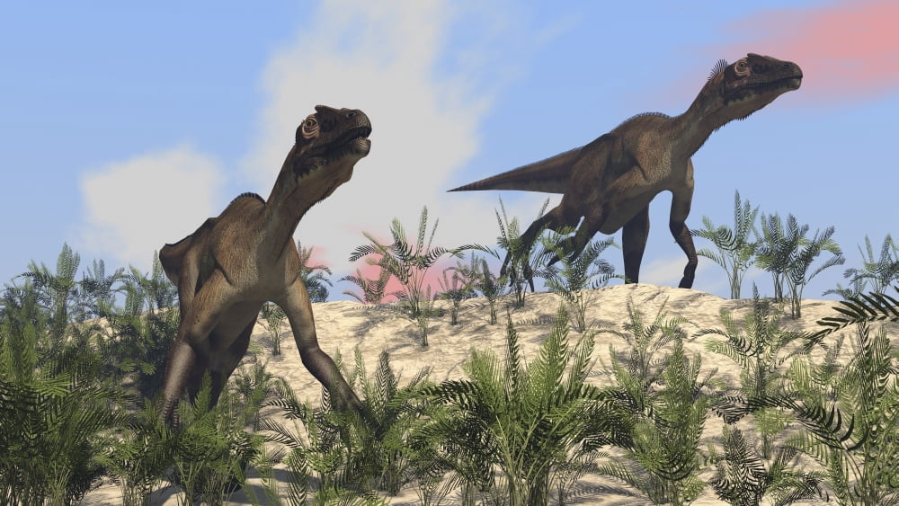 Two Utahraptors in an arid climate Canvas Art - Kostyantyn IvanyshenStocktrek Images (38 x 22)