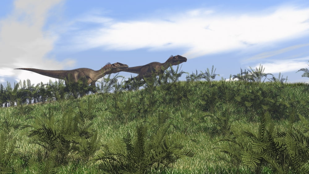 Two Utahraptors walking across a grassy field Canvas Art - Kostyantyn IvanyshenStocktrek Images (38 x 22)