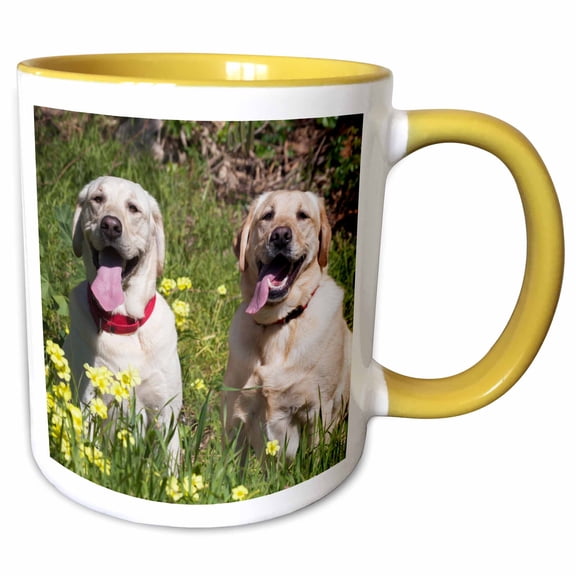 3drose, Two Very Happy Yellow Labradors, Pr, 11oz Two-tone Yellow Mug