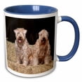 thumbnail image 1 of 3drose, Two Wheaten Terriers on Hay Bales, Pr, 15oz Two-tone Blue Mug, 1 of 6