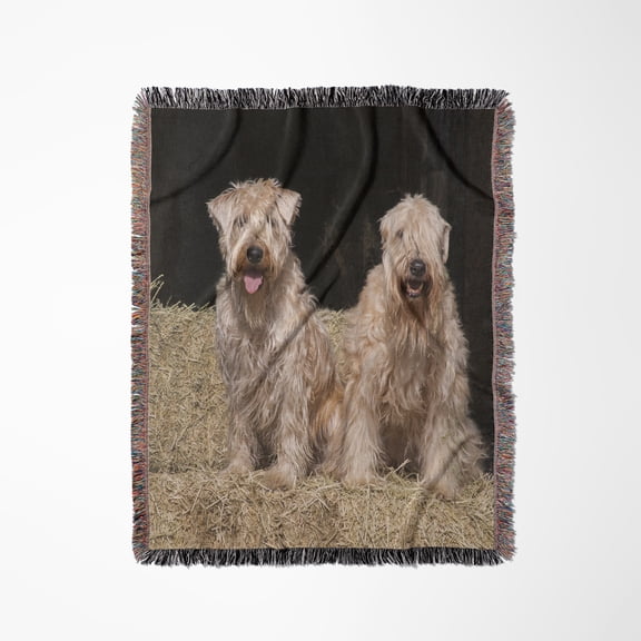 Two Wheaten Terriers On Hay Bales, Pr, Woven Blanket