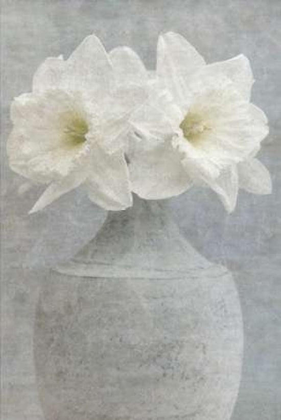 Two White Daffodils Canvas Art - Cora Niele (12 x 18)