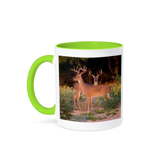 3drose, Two White Tailed Deer Bucks in Early Autumn, Texas, 11oz Two-tone Green Mug