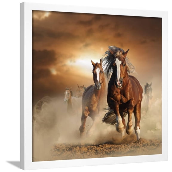 Two Wild Chestnut Horses Running Together in Dust, Front View, Animals Framed Art Print Wall Art by mariait Sold by Art.Com