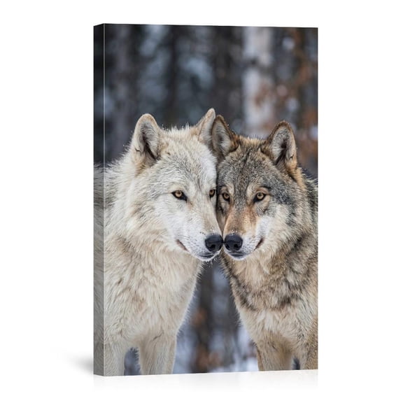 Two Wolves Nuzzling In Winter Forest Wildlife Photography Of Couple For Rustic Home Canvas