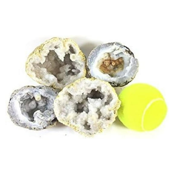 Two XL Whole Break Your Own Geodes Combo Pack - Mexican Trancas | Moroccan Quartz