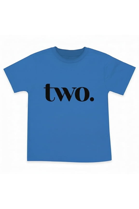 Two Year Old Birthday Tshirts for Second Bday Party for 2 Year Old Toddler Boys in Blue