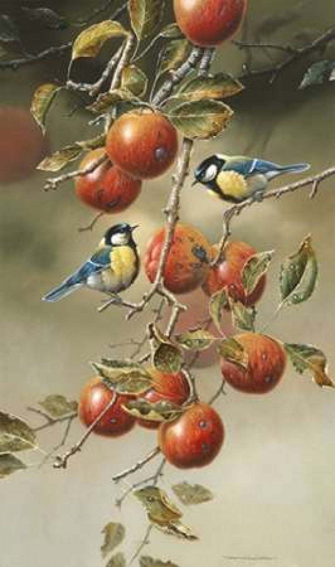 Two birds in appletree Canvas Art - Jan Weenink (12 x 18)
