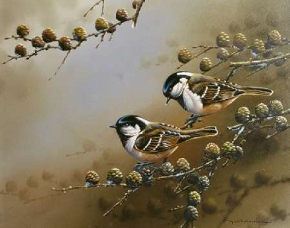 Two birds on branch Canvas Art - Jan Weenink (22 x 28)