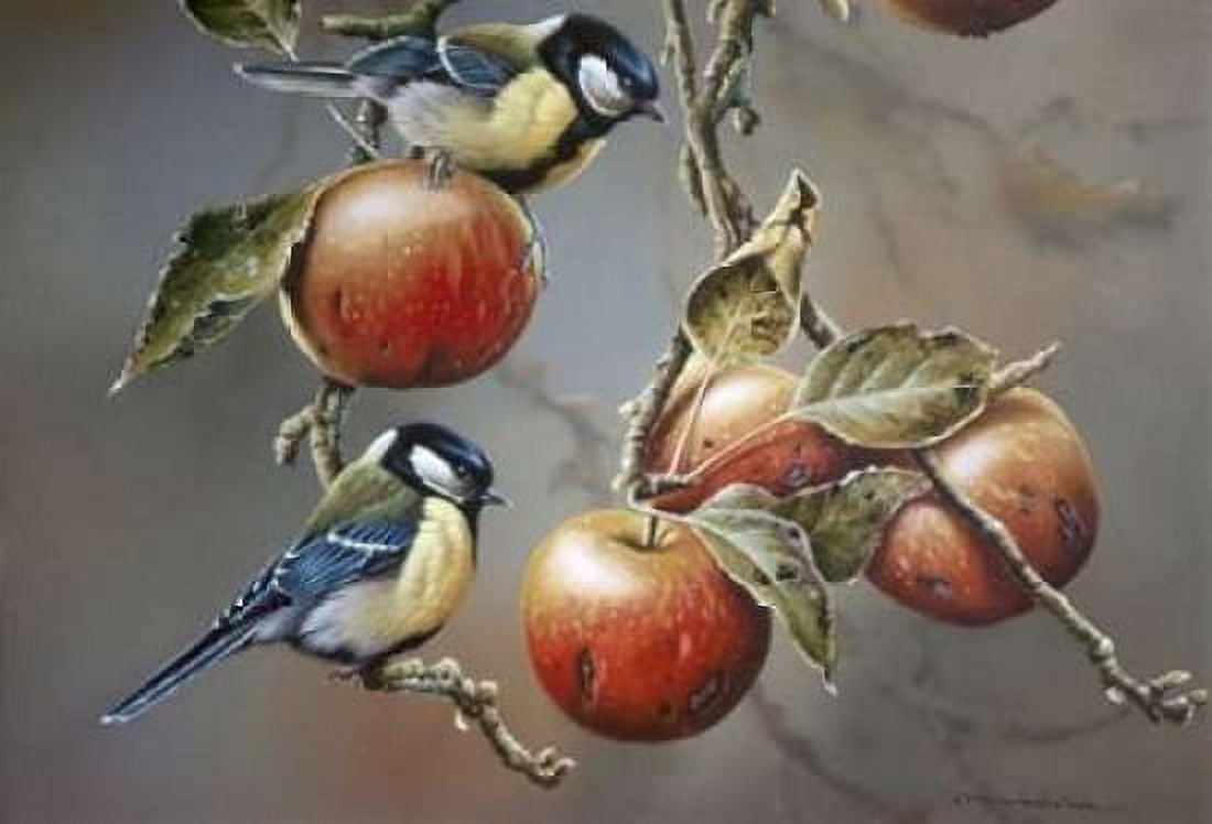 Two birds with apples Canvas Art - Jan Weenink (20 x 28)